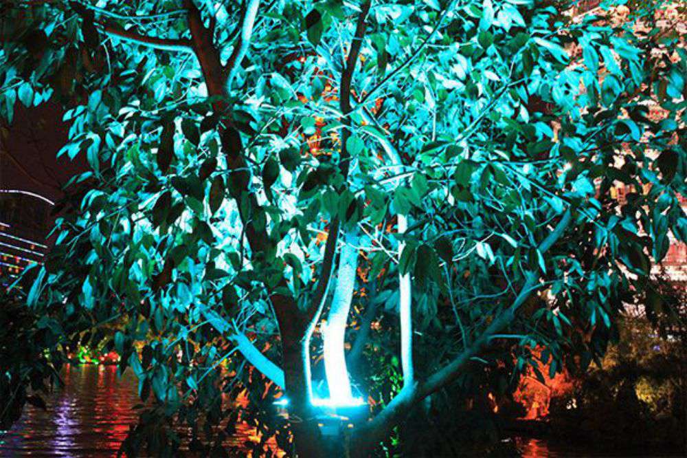 ���͵羺������RGBͶ������ڹ��ھ���������Ŀ