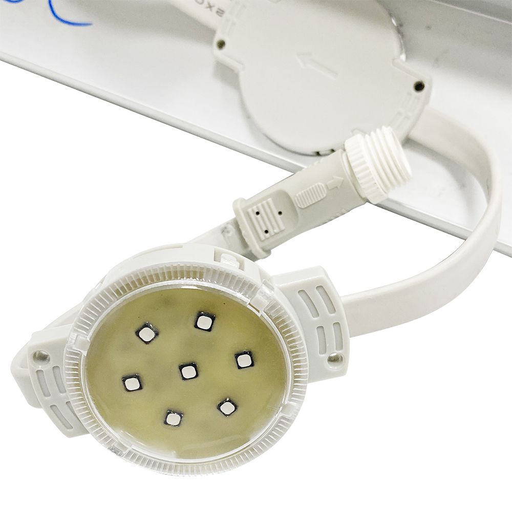 ���͵羺��VKGAME(�й���)�ٷ���վ